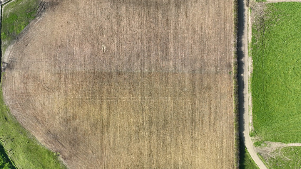 Li-1000 and glyphosate treated paddock