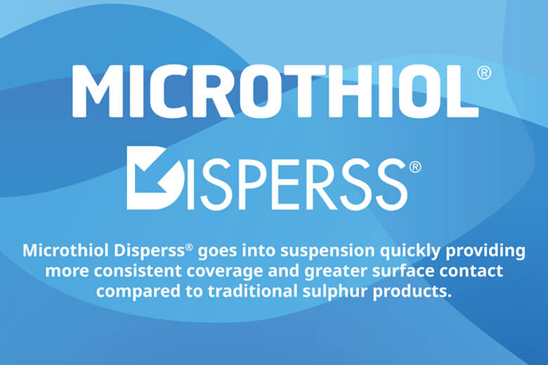 Microthiol Disperss