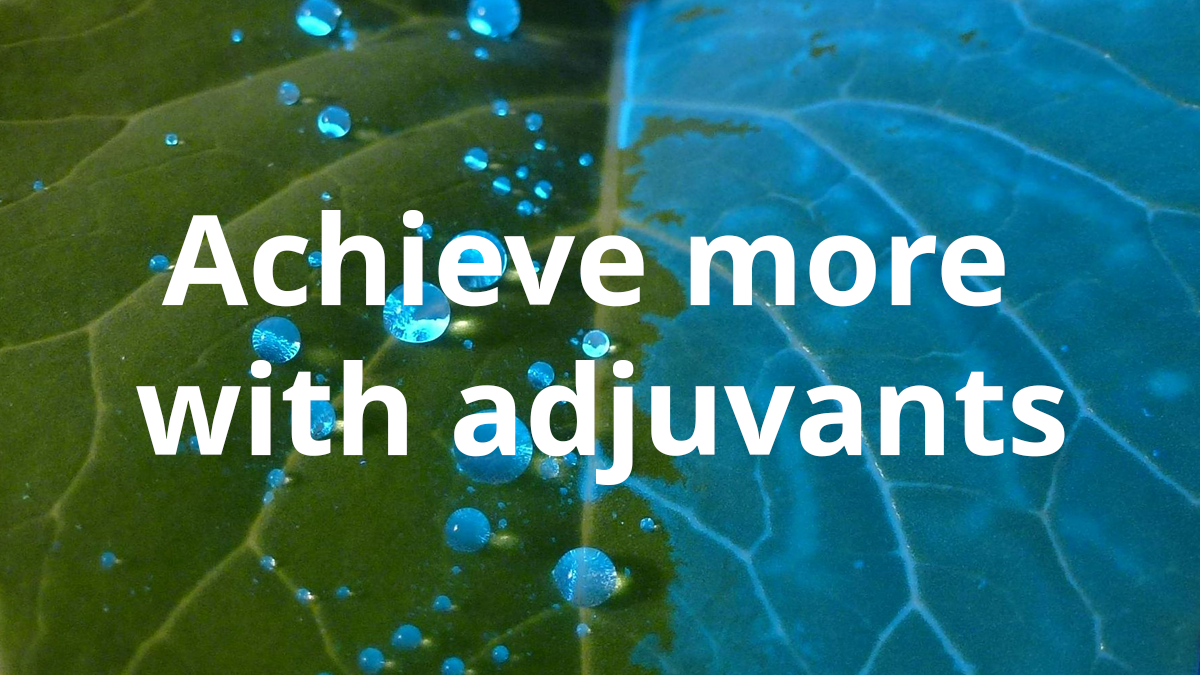 Achieve more with adjuvants