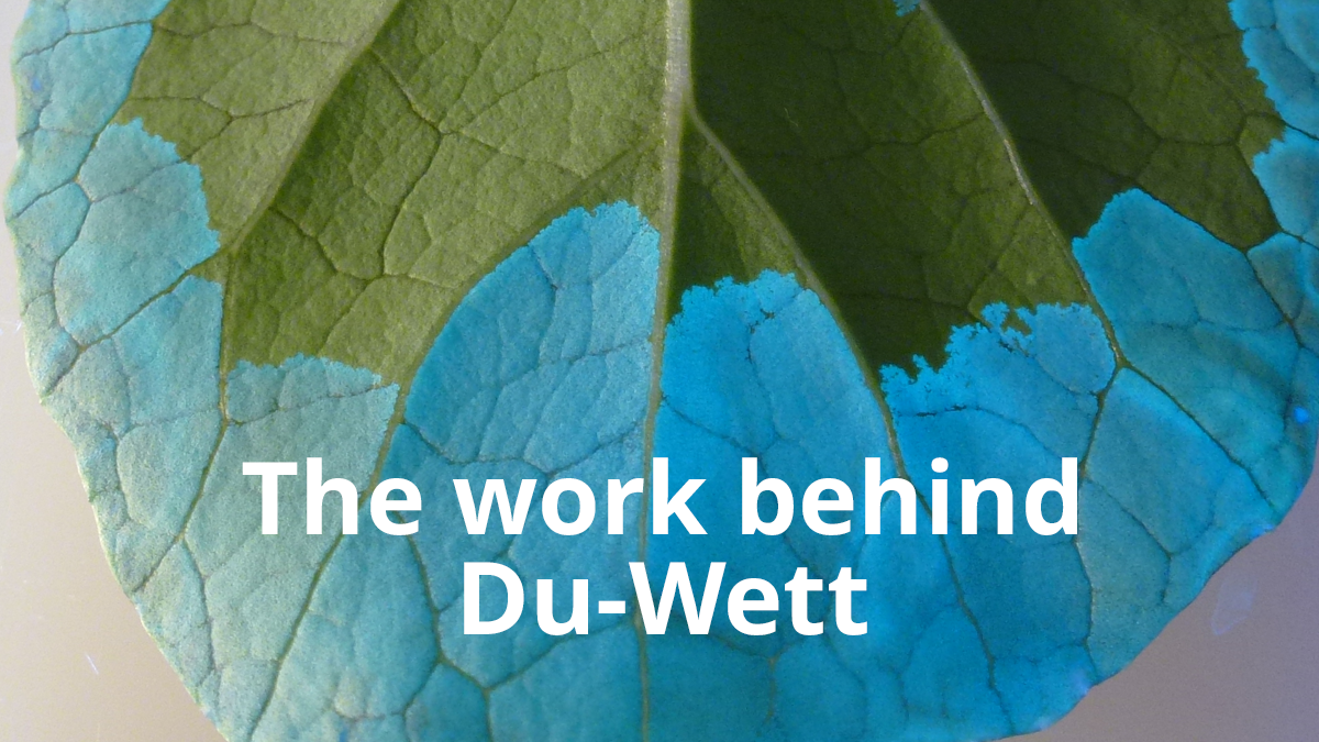 Ep 27 - The work behind super spreader Du-Wett