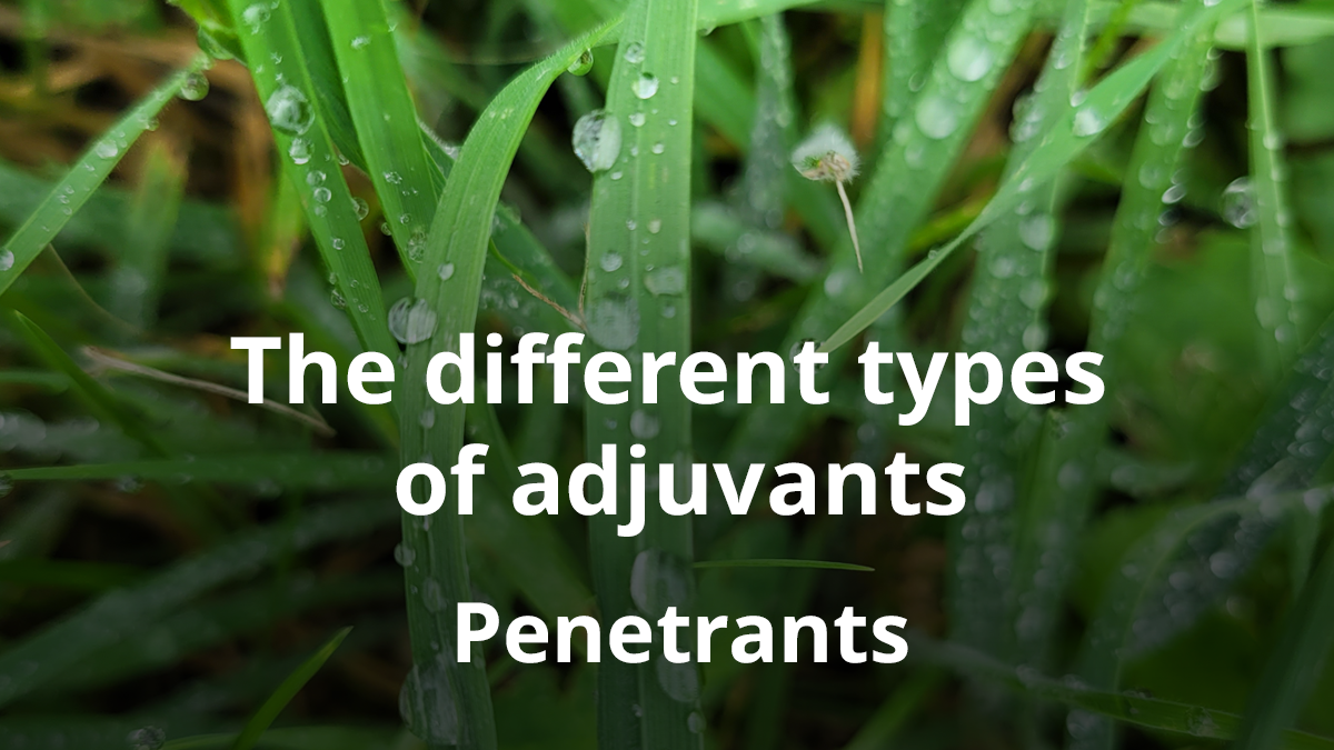 Ep 36 - The different types of adjuvants: Penetrants