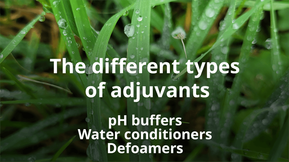 Ep 38 - The different types of adjuvants: pH buffers, water conditioners, defoamers