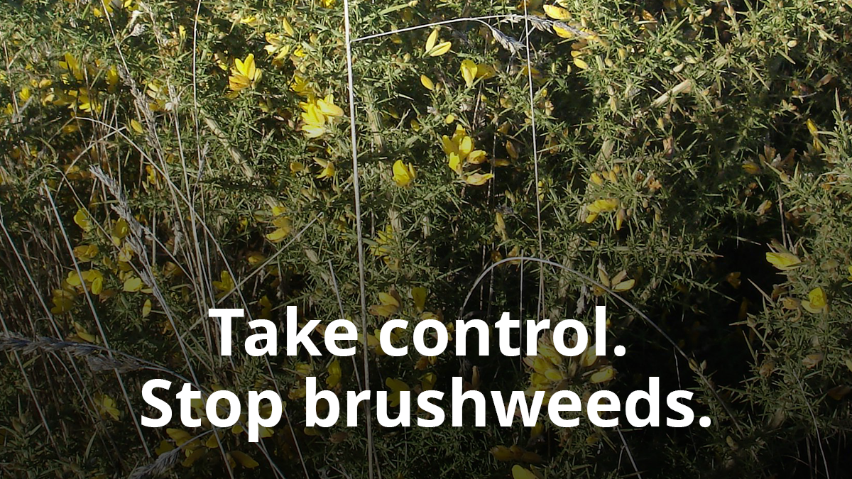 Ep 51 - Take control. Stop brushweeds.